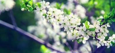 广州侨光财经职业技术学校2023年招生计划-广东技校排名网