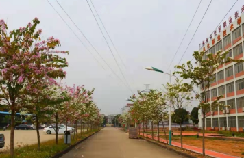 广州市市从化区职业技术学校2023年地址在哪里-怎么去-广东技校排名网