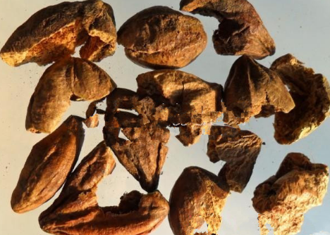 学中药专业的就业方向有原来这么多,你知道吗-广东技校排名网