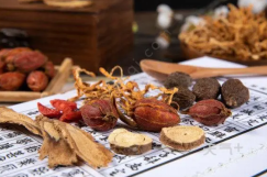 大专学中药学专业的5大优势-广东技校排名网