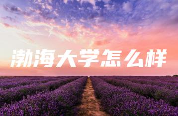 渤海大学怎么样-广东技校排名网