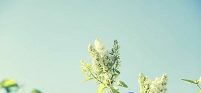 广东工业贸易职业技术学校2023年网站网址-广东技校排名网