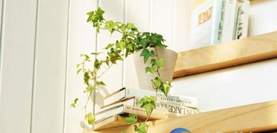 广州海珠区工艺美术职业学校2023年招生办联系电话-广东技校排名网