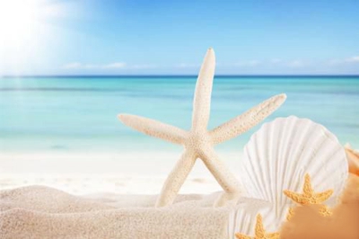 广州电子商务技工学校2023年招生计划-广东技校排名网