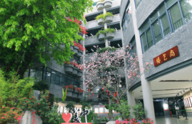 广州市市美术中学是公办还是民办的呢-学校是什么类型-广东技校排名网