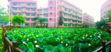 广州市市南沙第一中学2023年联系电话-招生办联系方式-广东技校排名网