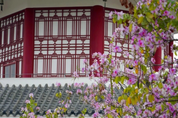 广州市外国语学校2023年报名条件-招生对象-招生要求-广东技校排名网