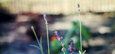 广州市生物医药高级职业技术学校2023年怎么样、好不好-广东技校排名网