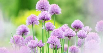 广东交通职业技术学院(中专部)2023年招生办联系电话-广东技校排名网