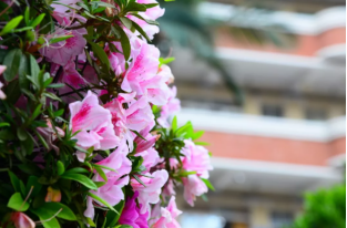 广州市市海珠外国语实验中学2023年联系电话-招生办联系方式-广东技校排名网