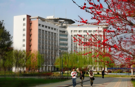 广州市市南沙第一中学网站网址是什么-广东技校排名网