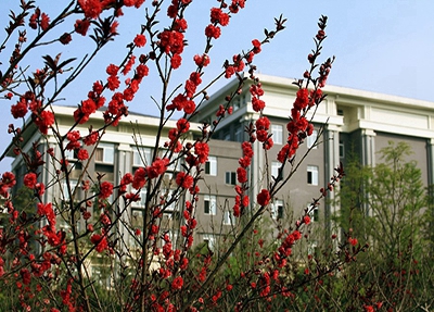 2023年广州海珠商务职业学校网站网址-广东技校排名网