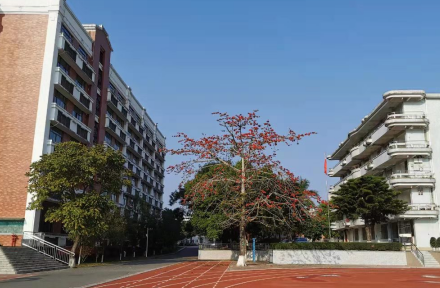 广州市市增城区派潭中学2023年招生简章-广东技校排名网