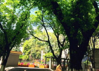 广州市市真光中学2023年的地址在哪里-交通方式是什么-广东技校排名网