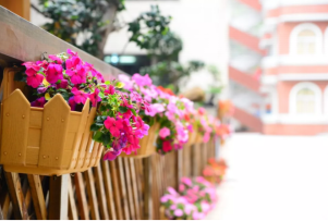 广州市市海珠外国语实验中学2023年报名条件-招生要求-招生对象-广东技校排名网