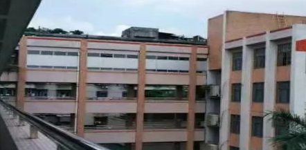 广州市市真光中学是公办还是民办的呢-学校是什么类型-广东技校排名网