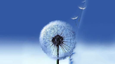 虹桥职业技术学校2023年宿舍条件-广东技校排名网