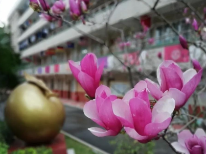 广州市市西关外国语学校2023年联系电话-招生办联系方式-广东技校排名网