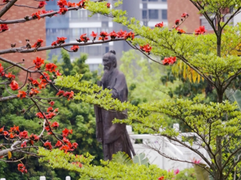 广州市外国语学校2023年招生录取分数线-广东技校排名网