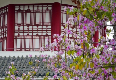 读中专很丢脸吗?如何正确看待读中专学校-广东技校排名网