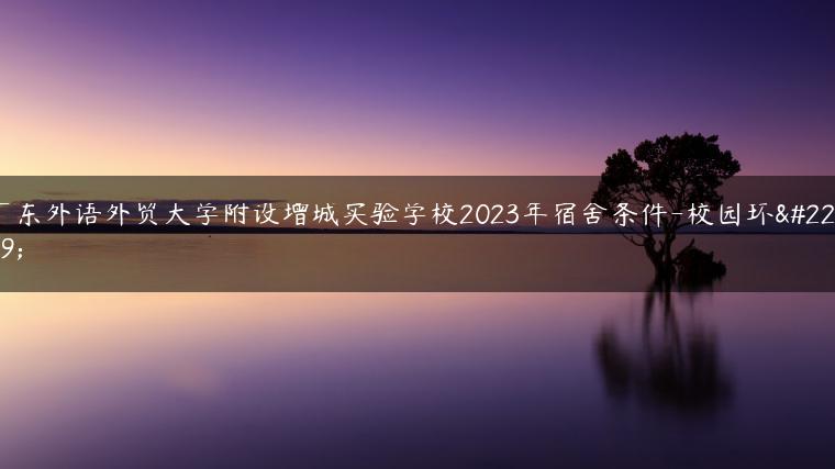 广东外语外贸大学附设增城实验学校2023年宿舍条件-校园环境