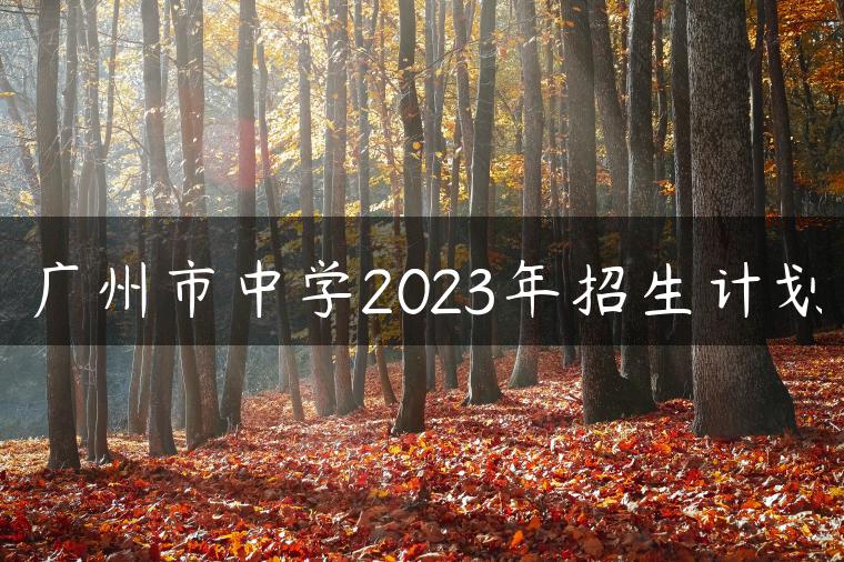 广州市中学2023年招生计划