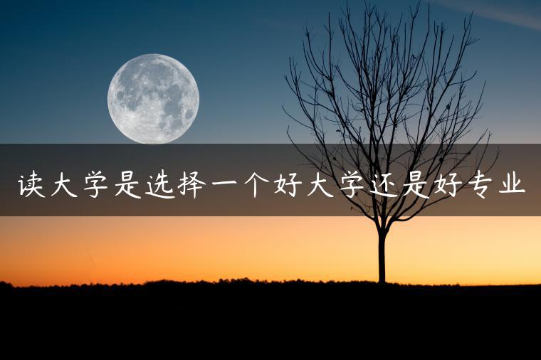 读大学是选择一个好大学还是好专业