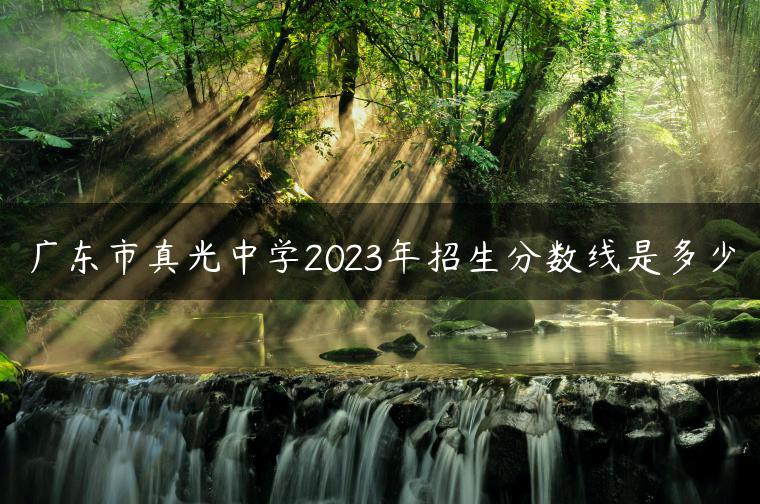 广东市真光中学2023年招生分数线是多少