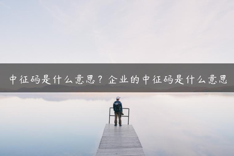 中征码是什么意思？企业的中征码是什么意思