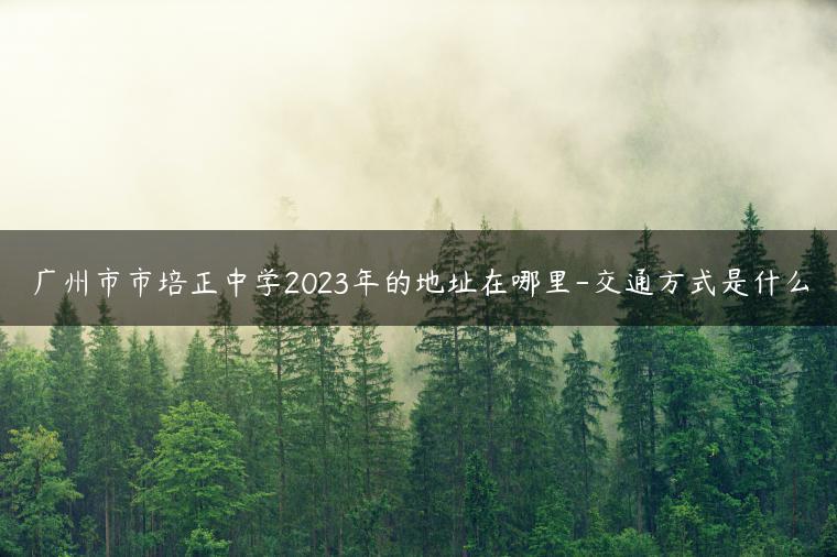 广州市市培正中学2023年的地址在哪里-交通方式是什么