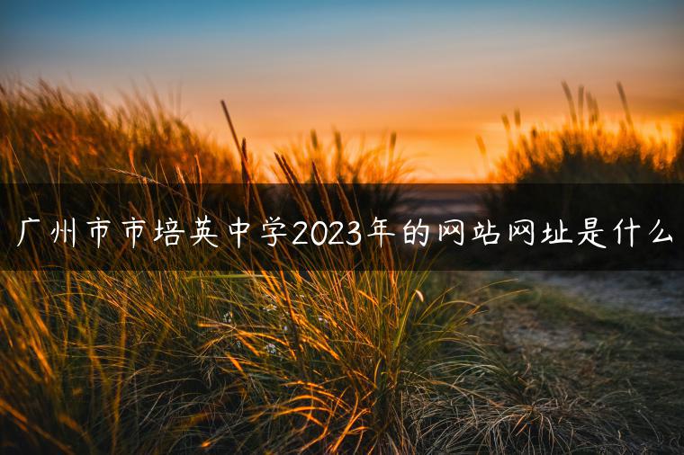 广州市市培英中学2023年的网站网址是什么