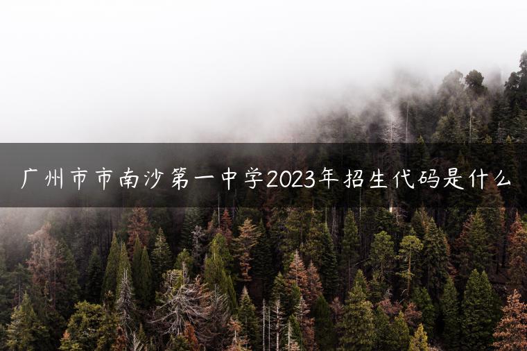 广州市市南沙第一中学2023年招生代码是什么