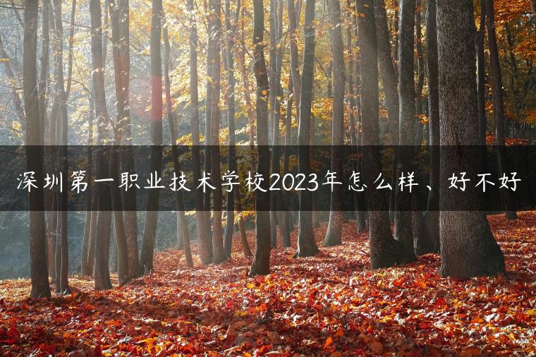 深圳第一职业技术学校2023年怎么样、好不好