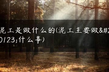 泥工是做什么的(泥工主要做些什么事)-广东技校排名网