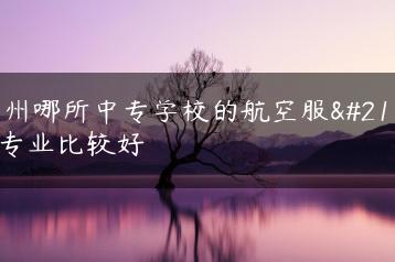 广州哪所中专学校的航空服务专业比较好-广东技校排名网