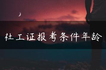 社工证报考条件年龄-广东技校排名网