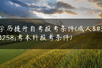 学历提升自考报考条件(成人自考本科报考条件)-广东技校排名网