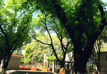 广州市市第五中学2023年报名条件-招生对象-招生要求-广东技校排名网