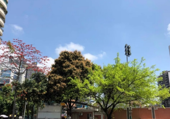 广州市市第五中学2023年招生录取分数线-广东技校排名网