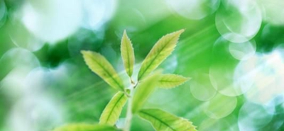 肇庆广宁卫生中等职业技术学校2023年地址在哪里-广东技校排名网