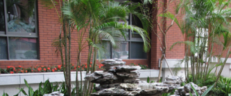 广东华侨中学2023年招生简章-广东技校排名网