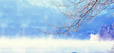 深圳第一职业技术学校2023年地址在哪里-广东技校排名网