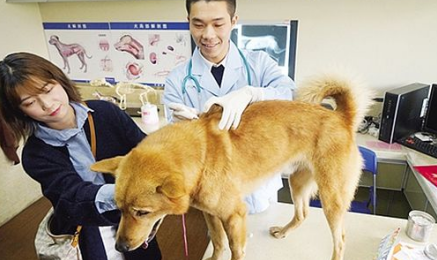 中专技校有哪些专业冷门但是前景火爆呢-广东技校排名网