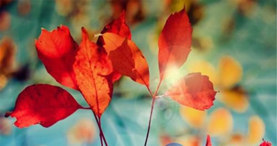 广州海珠区工艺美术职业学校2023年怎么样、好不好-广东技校排名网