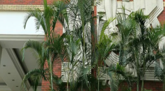 广州市市第十六中学(校本部)2023年的网站网址是什么-广东技校排名网