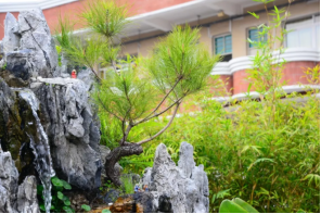 广州市市海珠外国语实验中学2023年招生代码-广东技校排名网