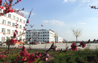 广州市市第二中学2023年招生录取分数线-广东技校排名网