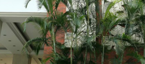 广州市市第十六中学（校本部）2023年联系电话-招生办联系方式-广东技校排名网