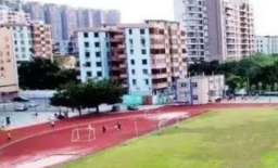 广东仲元中学2023年学费收费是多少-如何申请助学金-广东技校排名网