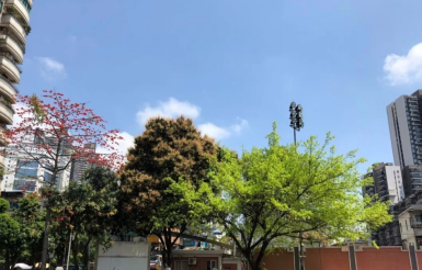 中专毕业后还有机会读全日制大学吗-广东技校排名网